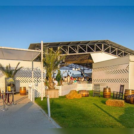 Loft Holiday Mamaia Εξωτερικό φωτογραφία